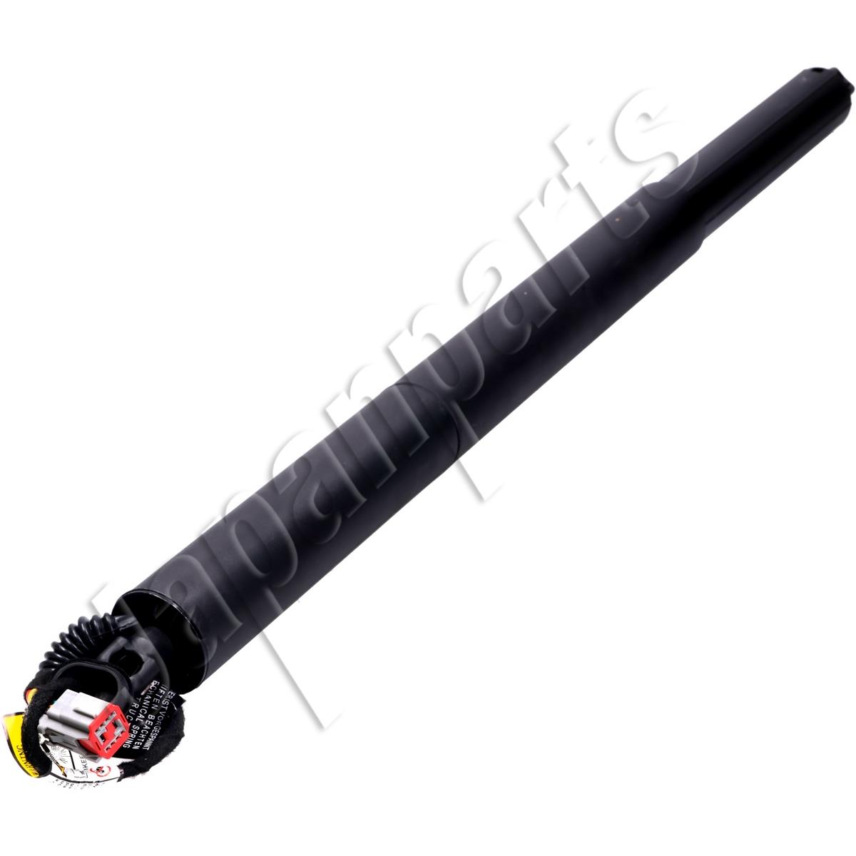 219/ZY-0026_1.jpg